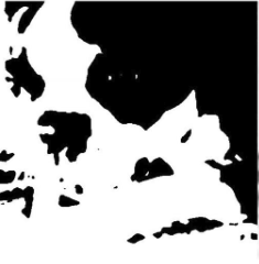 Mooney Figure 1