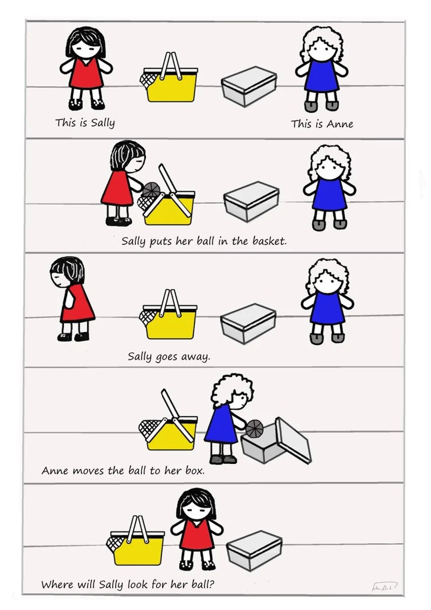 Sally Anne Task example